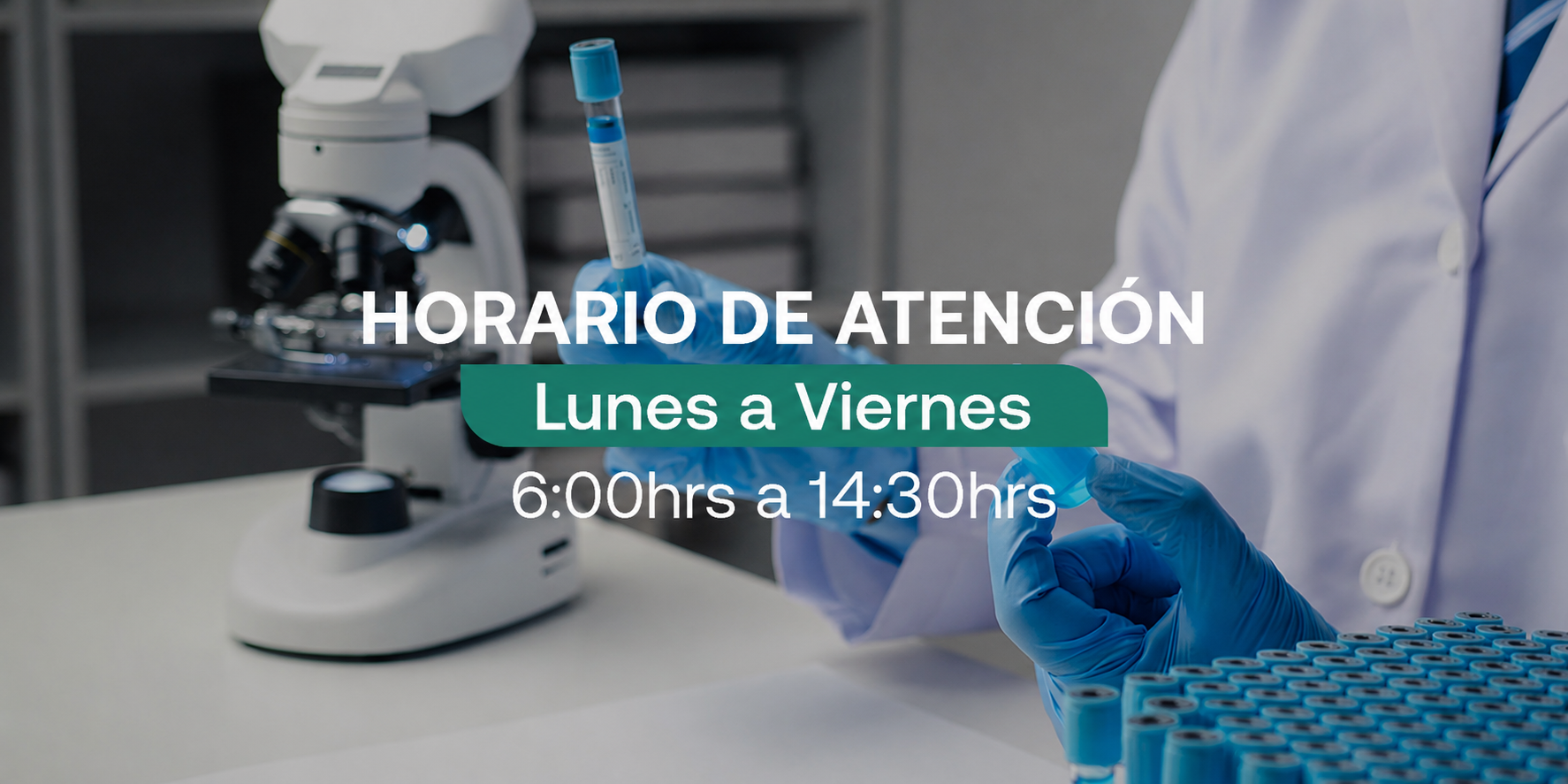 Horario